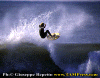 Ettore-027.gif (78656 byte)