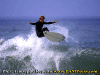 Ettore-028.gif (71440 byte)