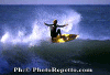 Ettore-029.gif (35699 byte)
