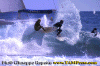Ettore-032.gif (78946 byte)