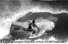 Ettore-034.gif (112174 byte)