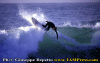Ettore-035.gif (64744 byte)