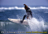 Ettore-037.gif (82885 byte)