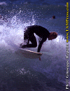 Ettore-038.gif (86414 byte)