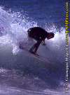 Ettore-039.gif (86272 byte)