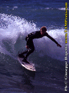Ettore-040.gif (81627 byte)