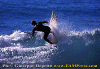 Ettore-043.gif (83708 byte)
