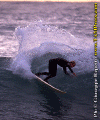 Ettore-045.gif (92494 byte)