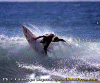 Ettore-047.gif (100258 byte)