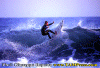 seq-a001.gif (80364 byte)