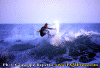 seq-a002.gif (78453 byte)