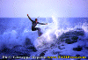 seq-a003.gif (87145 byte)