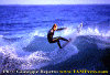 seq-b001.gif (81814 byte)