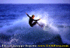 seq-b002.gif (86091 byte)