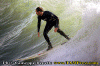002.gif (80774 byte)