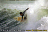 013.gif (88920 byte)
