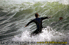 015.gif (96554 byte)