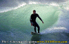 021.gif (68398 byte)
