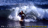 Marco-A-002.gif (83667 byte)