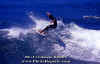 PP-Surf-002.jpg (55142 byte)