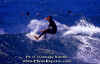 PP-Surf-004.jpg (60858 byte)