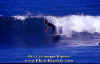 PP-Surf-006.jpg (41576 byte)