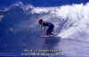 PP-Surf-007.jpg (54888 byte)