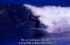 PP-Surf-010.jpg (46240 byte)