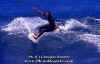 PP-Surf-011.jpg (57198 byte)