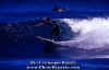 PP-Surf-013.jpg (44326 byte)