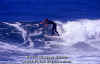 PP-Surf-016.jpg (45227 byte)
