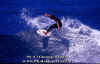 PP-Surf-018.jpg (56724 byte)