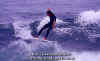PP-Surf-020.jpg (40238 byte)