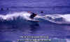 PP-Surf-021.jpg (47624 byte)