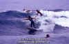 PP-Surf-023.jpg (41800 byte)