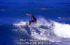 PP-Surf-025.jpg (47349 byte)