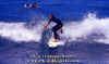 PP-Surf-032.jpg (51270 byte)