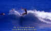 PP-Surf-035.jpg (46084 byte)
