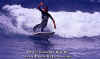 PP-Surf-036.jpg (45253 byte)