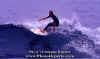 PP-Surf-038.jpg (37282 byte)