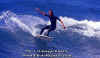 PP-Surf-041.jpg (53252 byte)