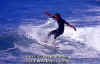 PP-Surf-044.jpg (50584 byte)