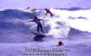 PP-Surf-049.jpg (47918 byte)