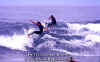 PP-Surf-050.jpg (45246 byte)