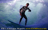 11-ww-001.gif (75458 byte)