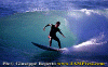 11-ww-003.gif (74264 byte)