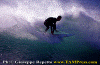 11-ww-011.gif (84354 byte)