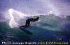 11-ww-012.gif (87374 byte)