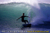 11-ww-013.gif (80536 byte)