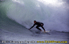 Azione-003.gif (68339 byte)